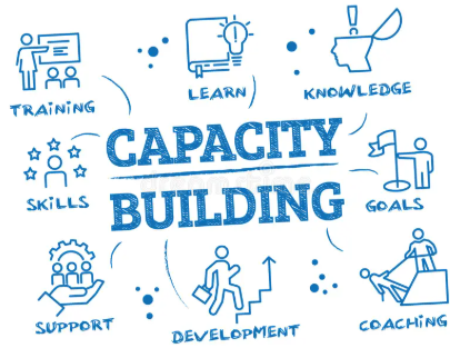 Capacity building